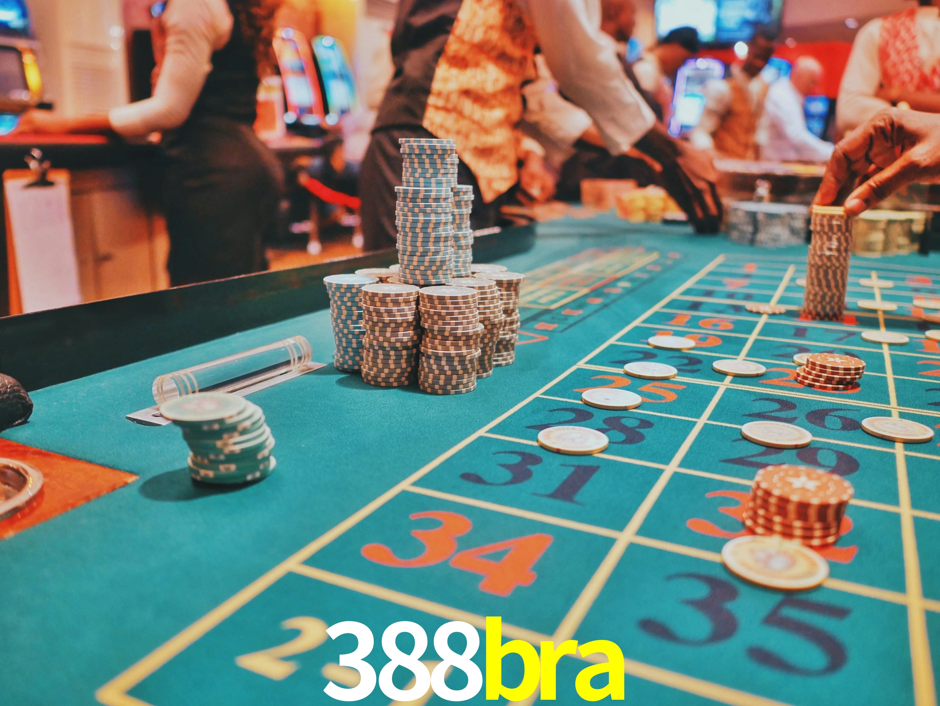Sports Statistics 388bra